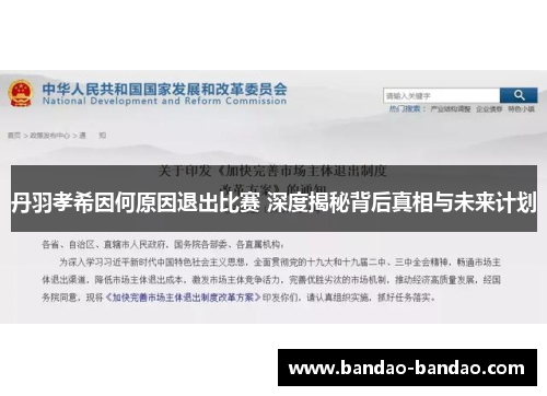 丹羽孝希因何原因退出比赛 深度揭秘背后真相与未来计划